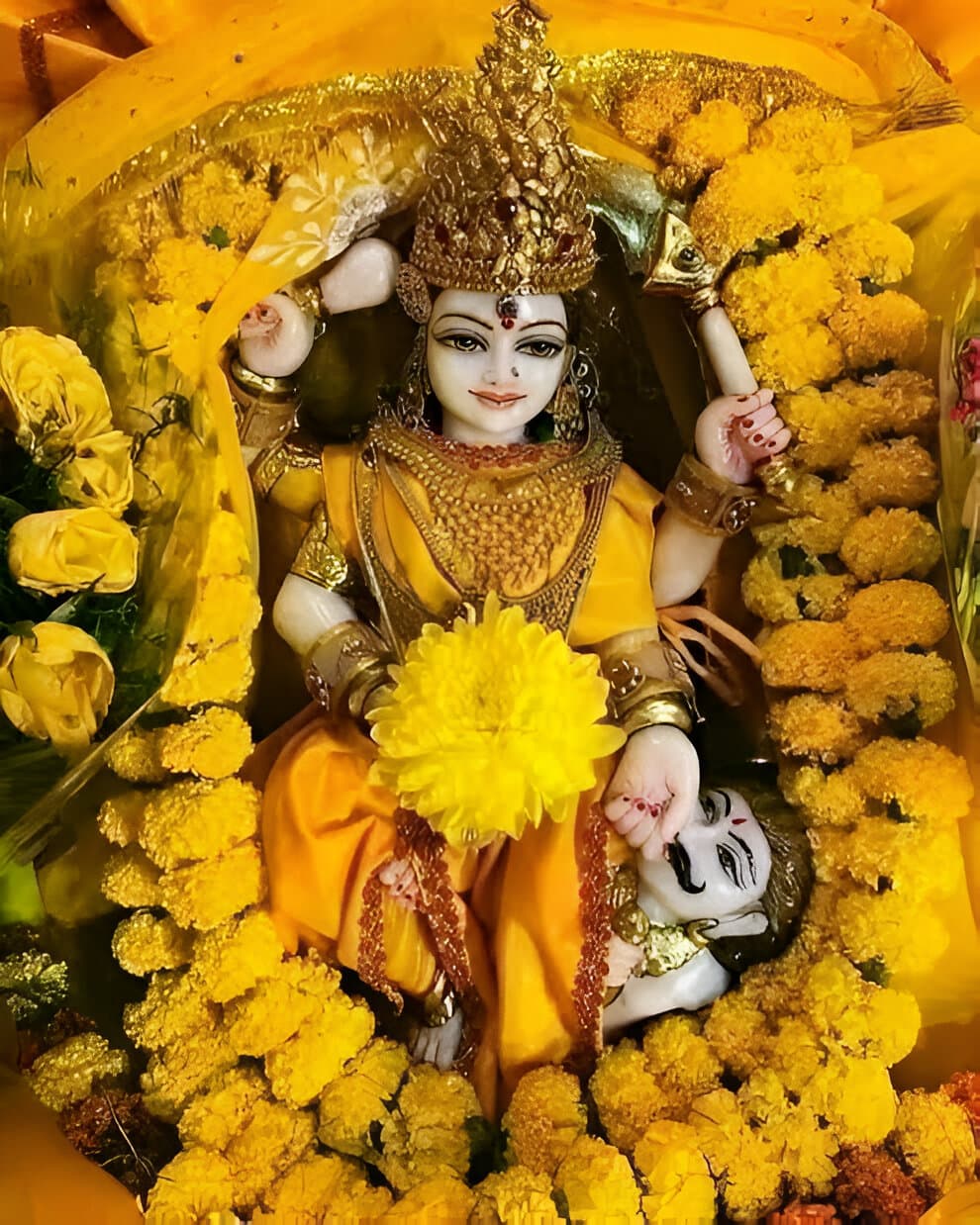 Baglamukhi Mata Jaap at Prayagraj