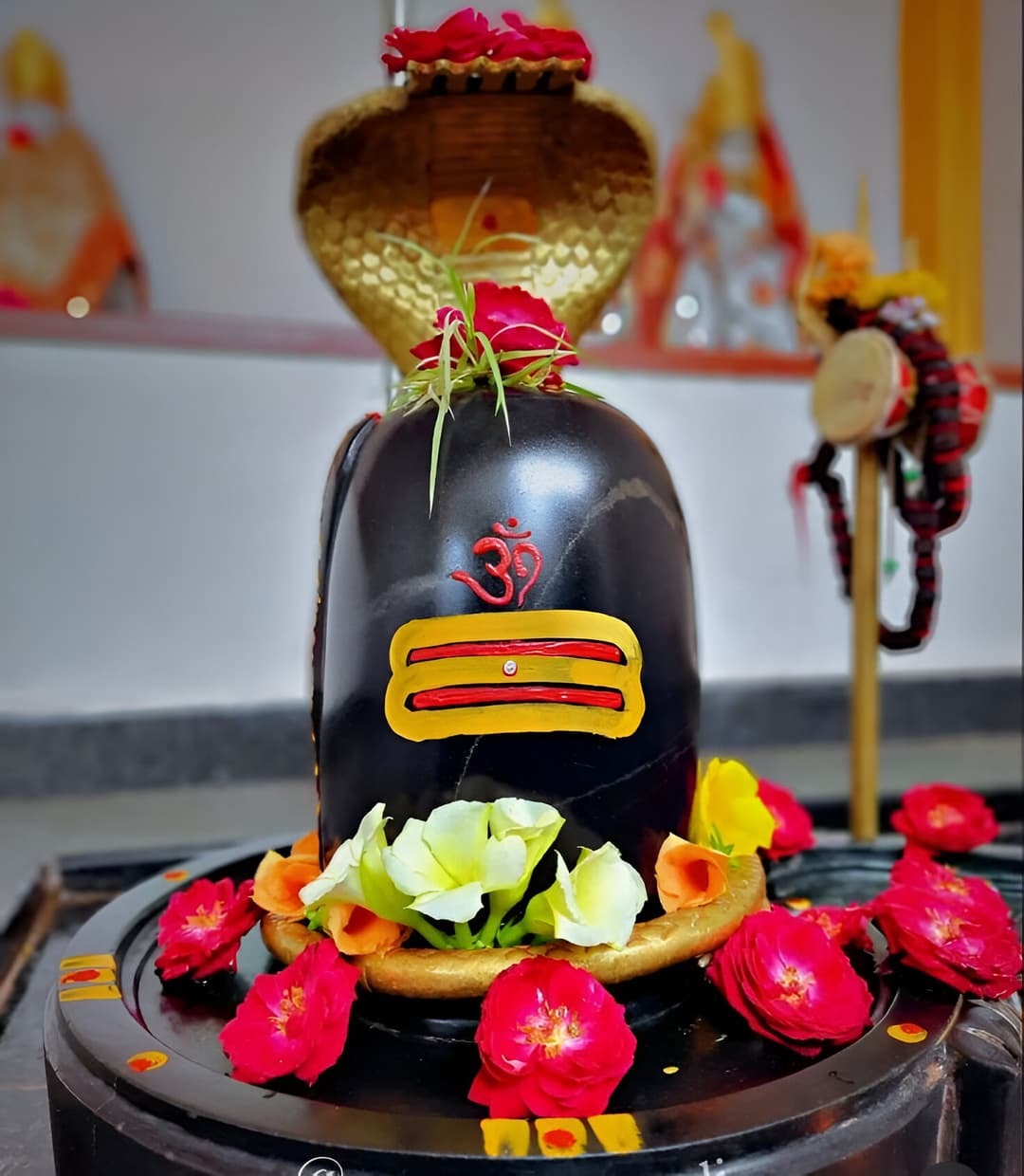 Mahamrityunjay Jaap at Prayagraj