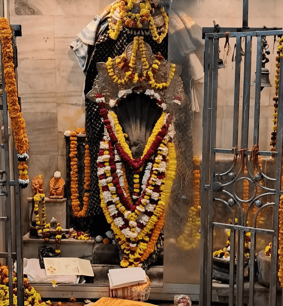 Rudrabhishek Pooja at Nagvasuki Temple